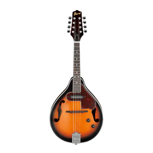 Mandolin Prices In South Africa - 2024/2025