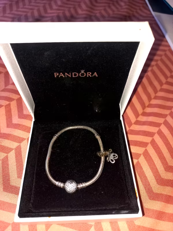 Pandora Charms Prices In South Africa 2024/2025