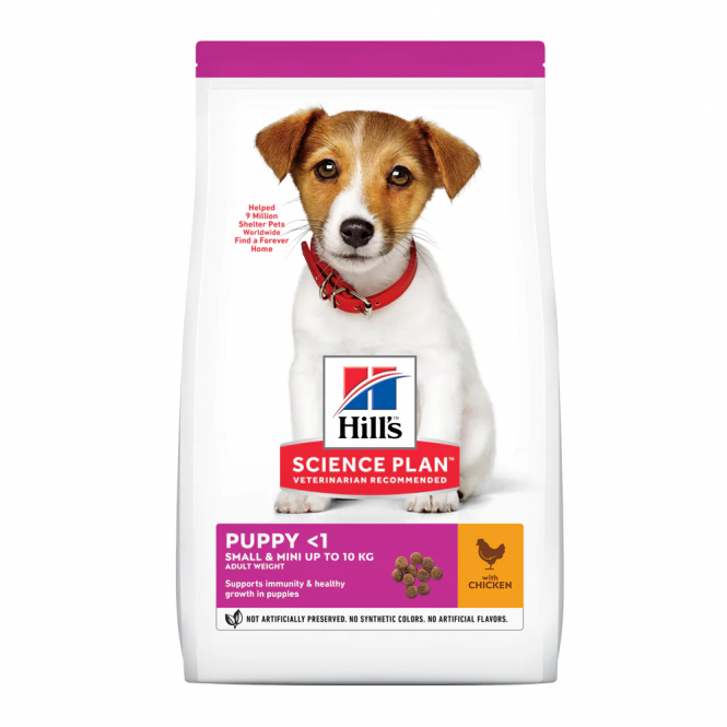 Hills Dog Food Prices In South Africa - 2024/2025