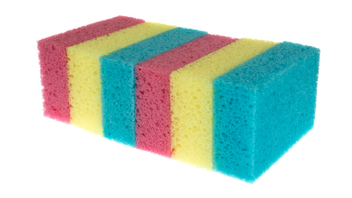 sponge-prices-in-south-africa-2024-2025